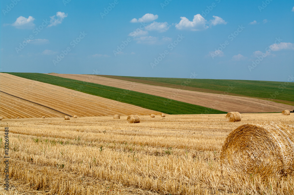 Fototapeta premium Levels with bales.
