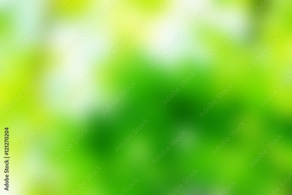 Obraz premium green bokeh abstract light background