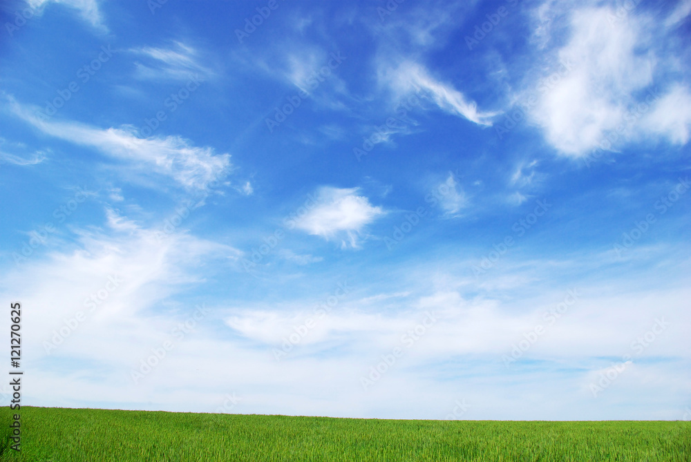 green field and blue sky