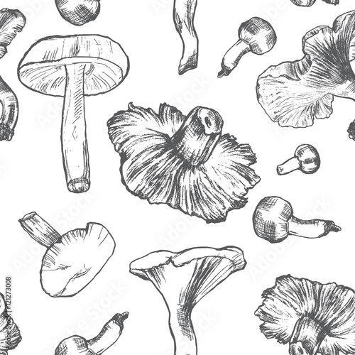 Mushrooms hand drawn sketch illustration, Natural ingredients, Vector seamless pattern, Perfect for farm market advertising, bio product business and agricultural industry, web sites, restaurant menu