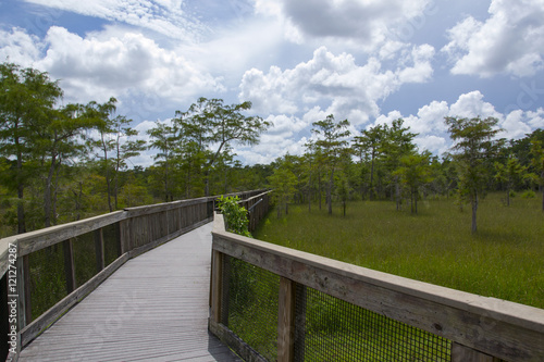 Fussweg in den Everglades