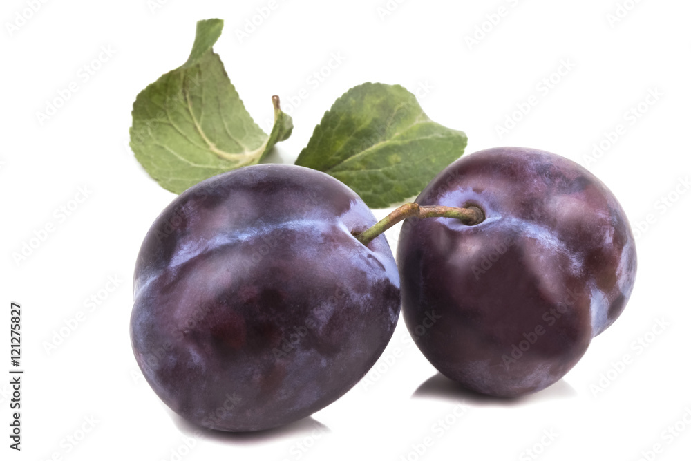 Obraz premium Two connected blue sweet ripe plums