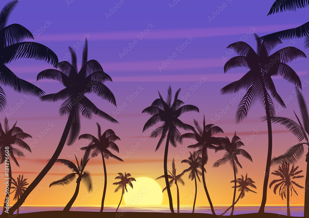 Palm coconut trees Silhouette at sunset or sunrise. Realistic vector illustration. Earth paradise on the beach.