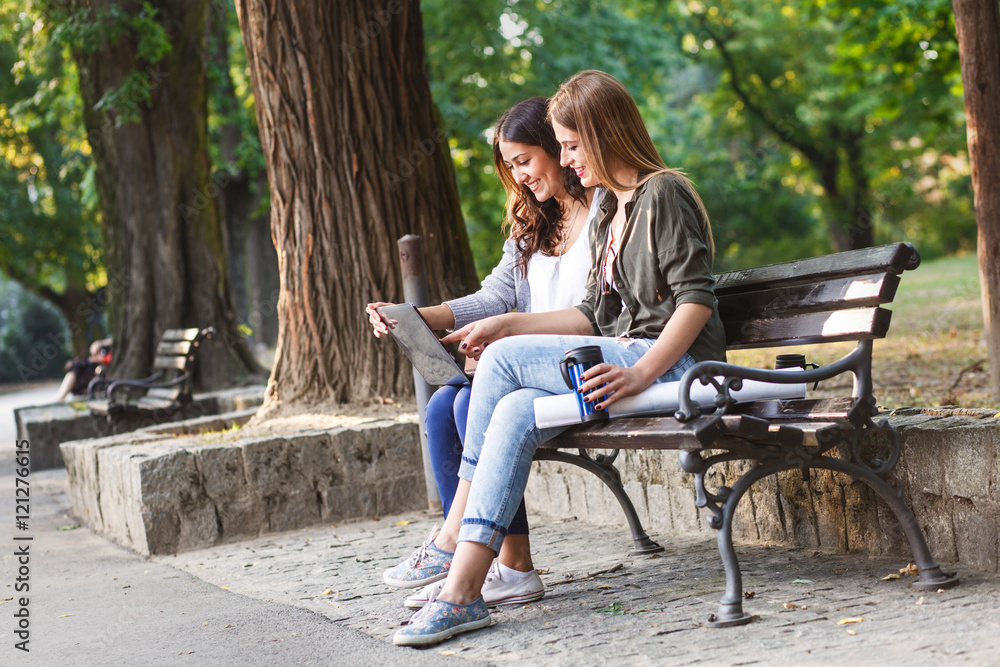 Portrait of two businesswomen sitting in park using laptop. Business team working online togetherness while consulting. Portrait of two businesswomen sitting in park using laptop. Business team working online togetherness while consulting.