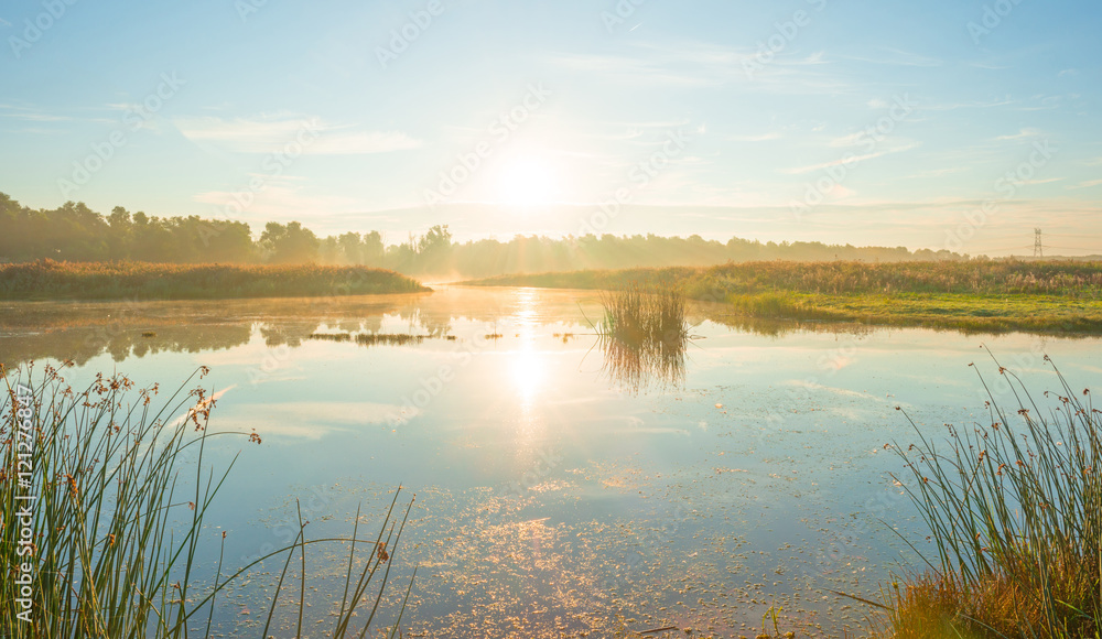 Fototapeta premium Shore of a lake at sunrise in summer