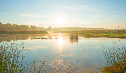 Leinwandbilder See Sommerlicher Sonnenaufgang am Seeufer  © Naj