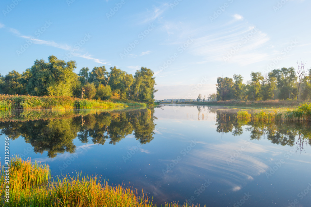 Shore of a lake at sunrise in summer