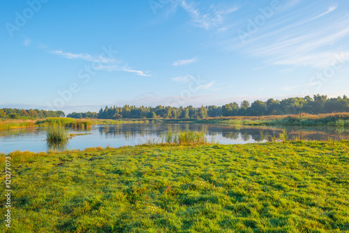 Shore of a lake at sunrise in summer