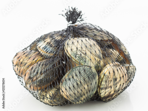 fresh clams in net isolated on white