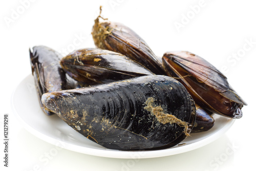 fresh mussels in net isolated on white