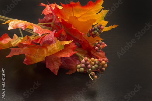 Autumn Colored Leaves
