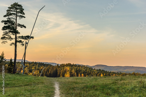 Photography Automn at its finest