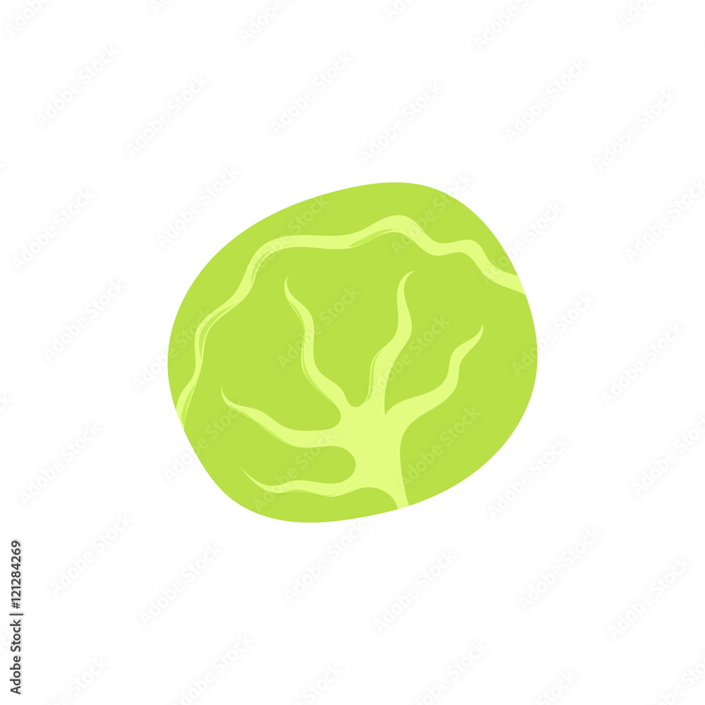 Cabbage icon in cartoon style isolated on white background vector illustration Cabbage icon in cartoon style isolated on white background vector illustration