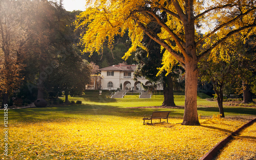 Fall Mood
