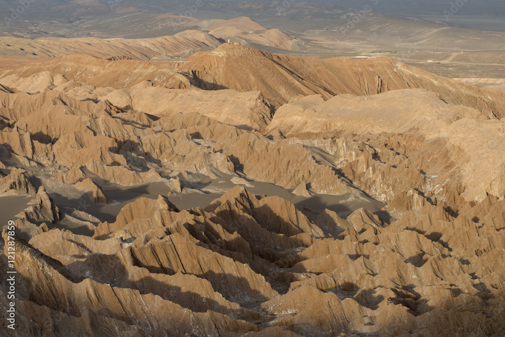 Fototapeta premium chat13057