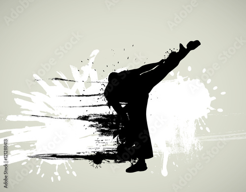 Vector of karate