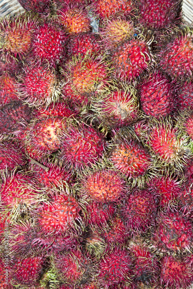 Rambutan guatemala Rambutan guatemala