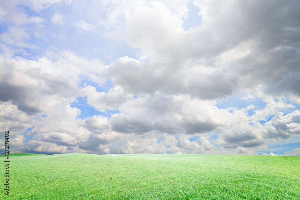 The perfect sky with cloud and grass in park