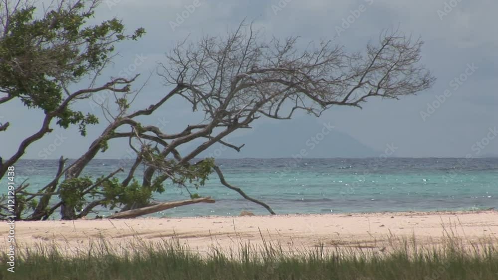 Beach Aruba island in the caribbean Beach Aruba island in the caribbean