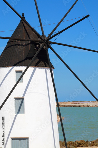 Quintin Mill in the Salinas de San Pedro del Pinatar  Spain