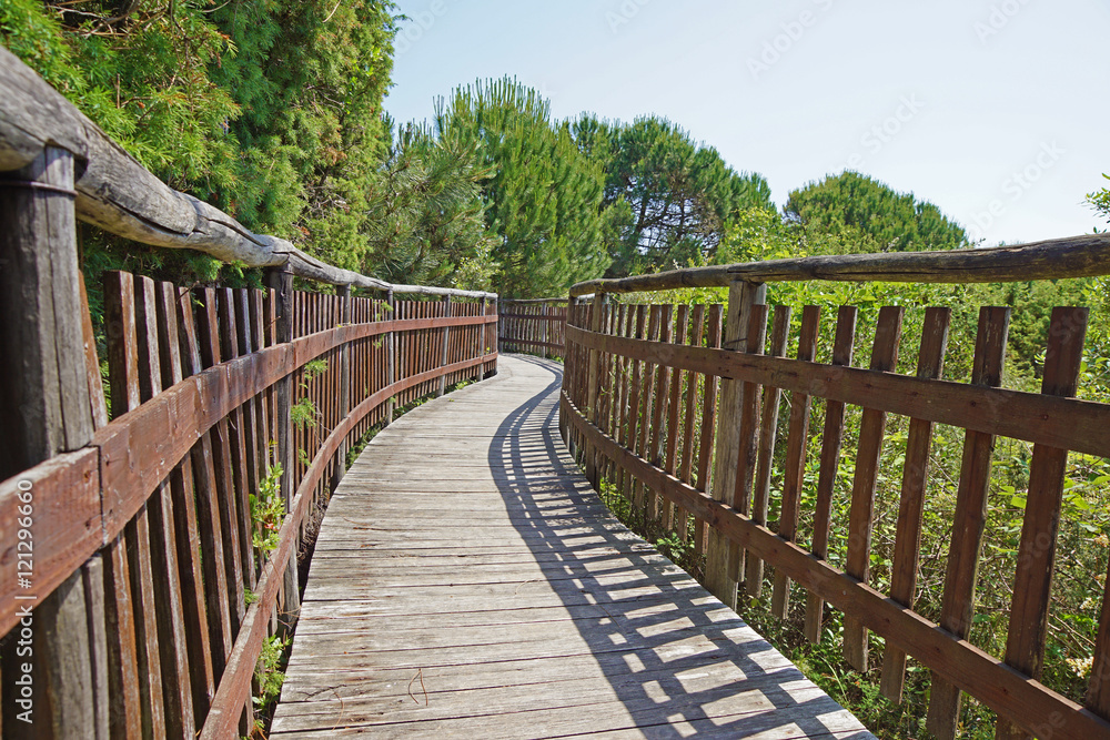 wooden walkway