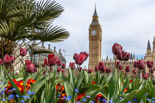 Canvas Print Big Ben in spring