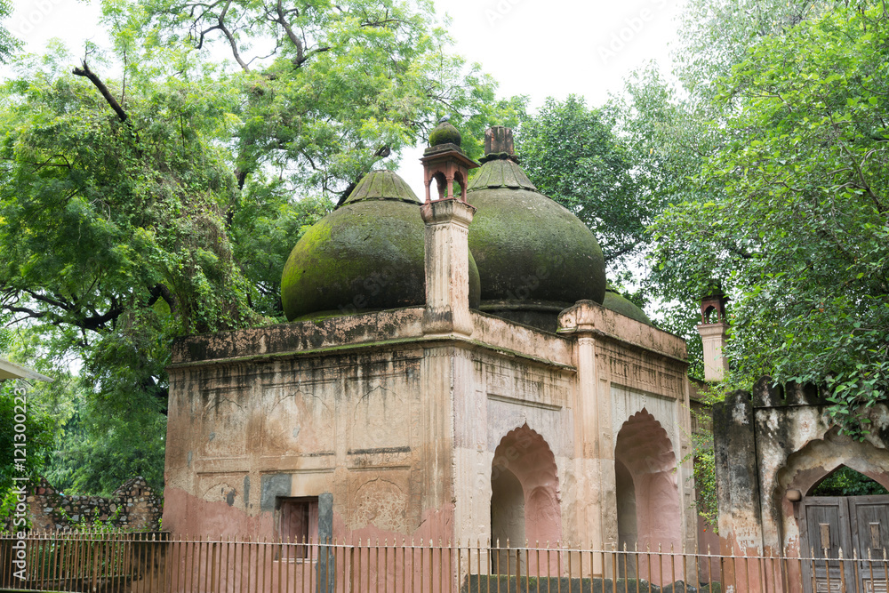 Islamic Tombs with moss in Qutub complex. Qutub Complex in Delhi, is a