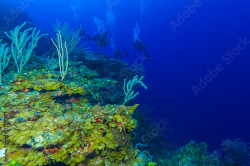 Colorfull reef and group of divers, Cayo Largo