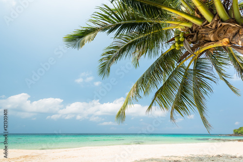 Beautiful Exotic beach with coconut palm tree © peangdao