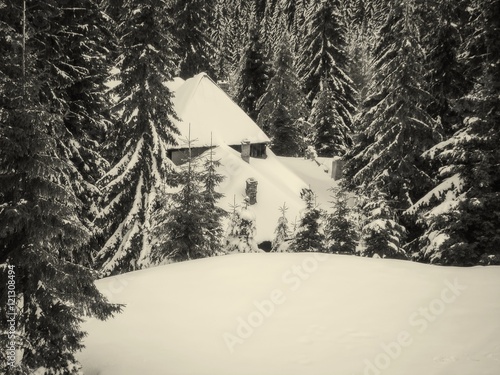 Snowy Wooden Cottage photo