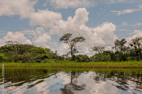 Clouds Rising From The Amazonian Jungle © APS