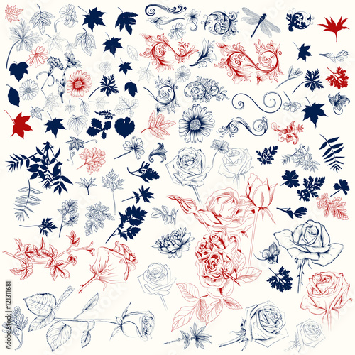 Vector pack of engraved high detailed flowers for design