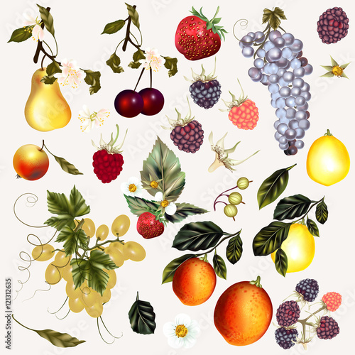 Mega  pack of vector fruits and berries created in vintage style