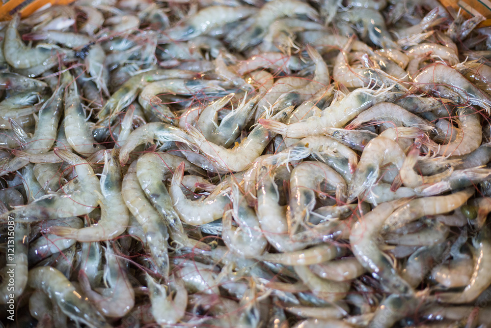 Sea prawn seafood raw material Sea prawn seafood raw material