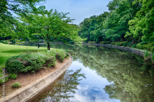 River in a Park