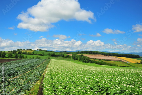 Landscapes of Countryside in Hokkaido  Japan