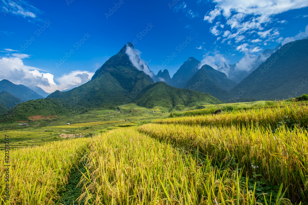 Beautiful rice paddy fields during trip HANOI to SAPA at Mu Cang