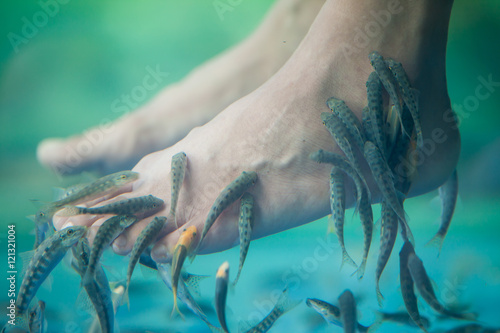 Pedicure fish spa  Fish spa pedicure  Rufa Garra fish spa pedicu