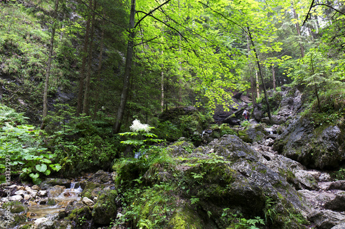 Little Fatra  the beautiful Mountains  in Slovakia