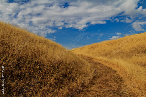 An evening in the mountains of Milpitas