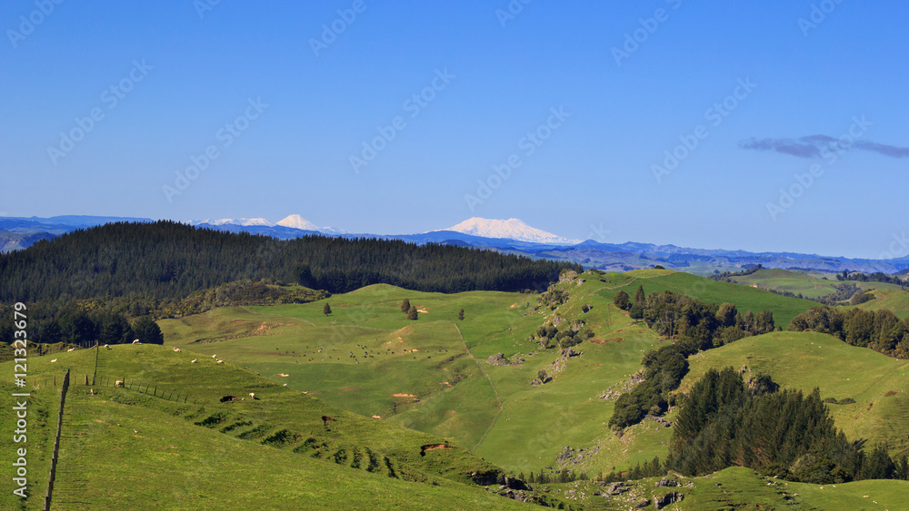 Picturesque green hills volcanoes landscape panorama