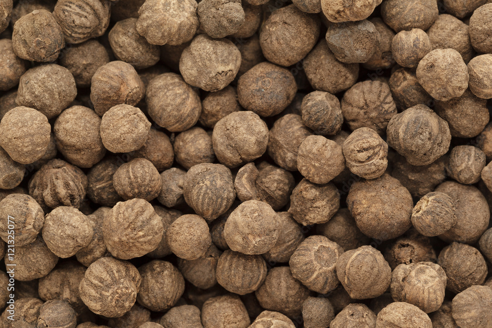 Organic treated Teak seed (Techtona Grandis). Macro close up background texture. Top view. Organic treated Teak seed (Techtona Grandis). Macro close up background texture. Top view.