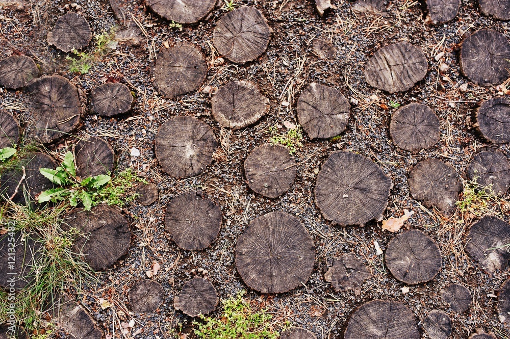 Stump path background. Many stump on garden road Stump path background. Many stump on garden road