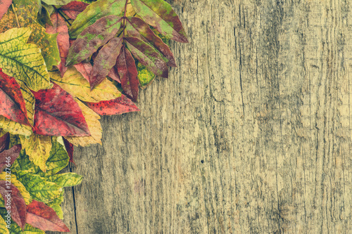 Autumn leaves on wooden background  autumn wallpaper