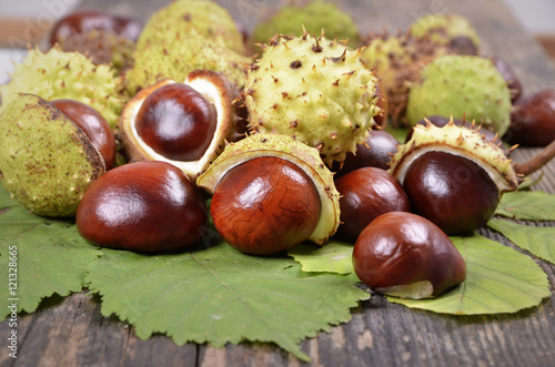 Horse chestnut on wooden table