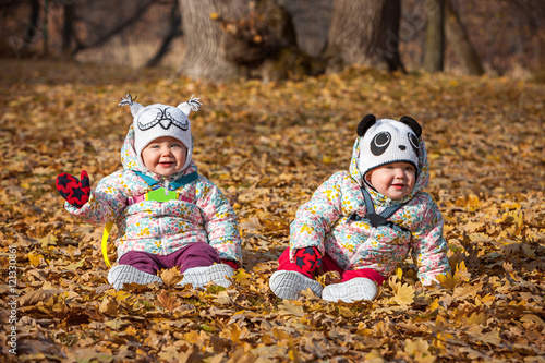 The two little baby girls sitting in autumn leaves