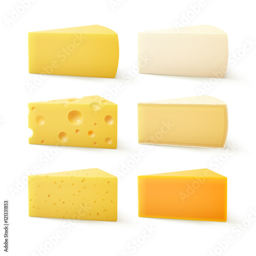 Set of Triangular Pieces of Various Kind of Cheese Swiss Cheddar Bri Parmesan Camembert Isolated on White Background