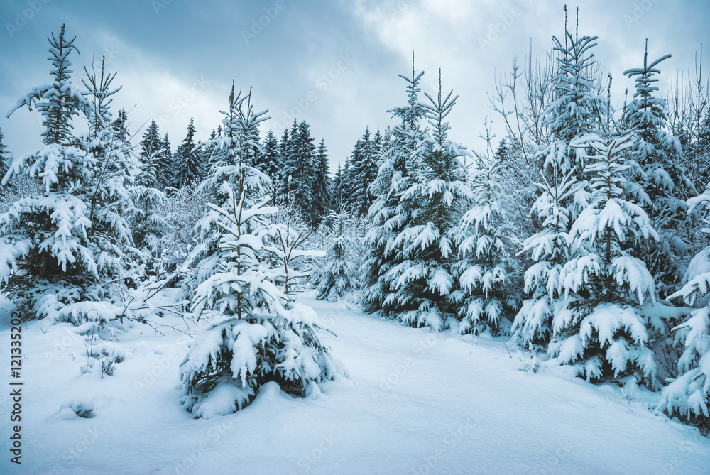 Winter time Winter time