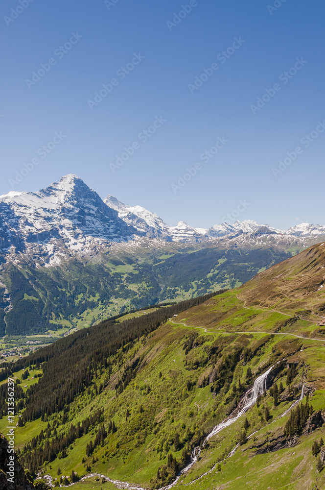 Obraz premium Grindelwald, Berner Oberland, Eiger, Eigernordwand, Mönch, Jungfrau, Alpen, Wanderweg, Waldspitz, First, Alm, Sommer, Schweiz