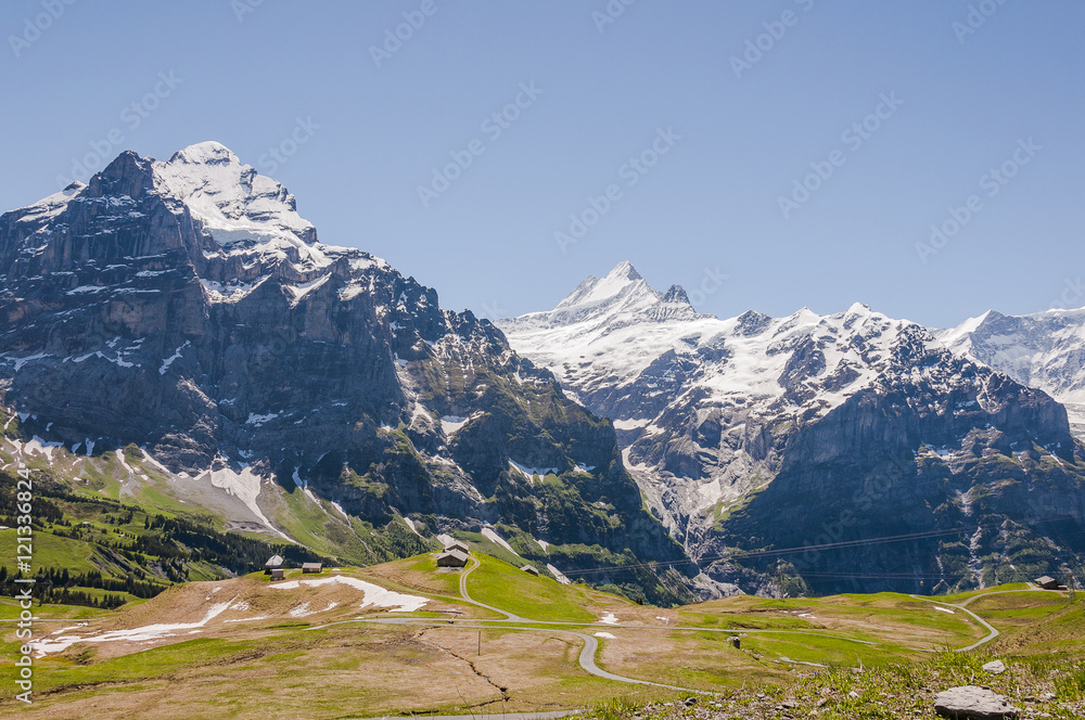 Grindelwald, Berner Oberland, Grosse Scheidegg, Wetterhorn, Schreckhorn, Alpen, Wanderweg, Schreckfeld, Wanderferien, Sommer, Schweiz